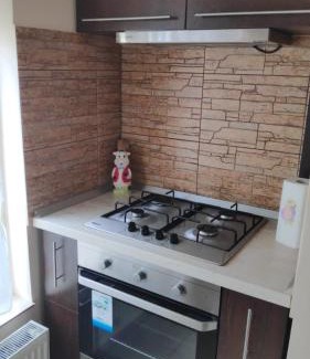 Gura Humorului Apartment | Apartament Mariuca