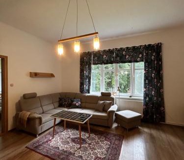 Pieszyce Apartment | Apartament na górce