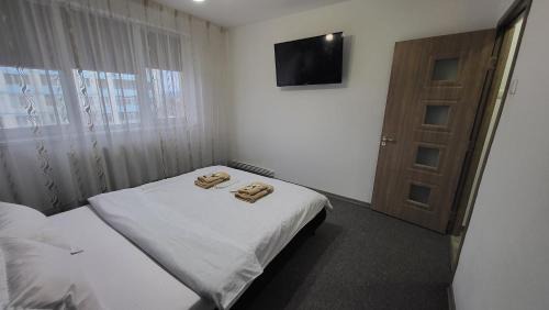 Onesti Apartment | Apartament NAVI