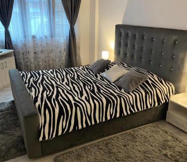Baile Herculane Apartment | Apartament NECTARIA