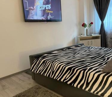 Baile Herculane Apartment | Apartament NECTARIA
