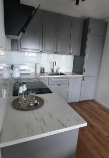 Centrum Apartment | Apartament Nel