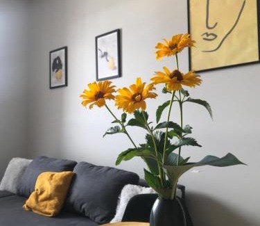 Zator Apartment | Apartament No82 Yellow Holiday Home Zator