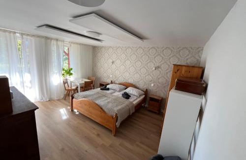 Jedlina-Zdroj Apartment | Apartament Parkowy
