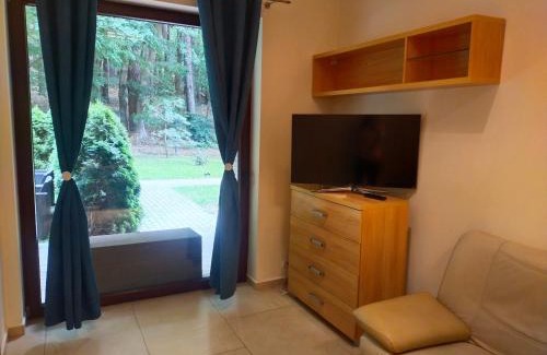 Wiselka Apartment | Apartament Przy Parku Wisełka