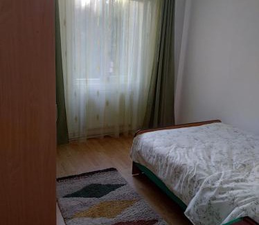 Roman Apartment | Apartament Roman