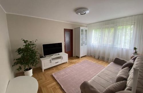 Roman Apartment | Apartament S26