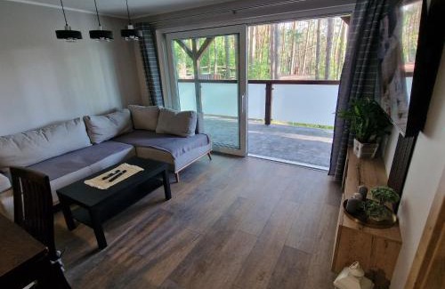 Skarszewy Apartment | Apartament Sosny 2,2 nad jeziorem OTW Borówno Wielkie