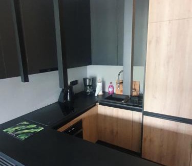 Meszna Apartment | Apartament Szyndzielnia