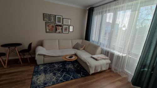 Wloclawek Apartment | Apartament typu studio