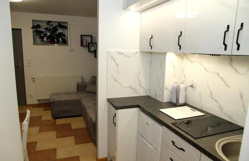 Mikolajki Apartment | Apartament u PROROKA