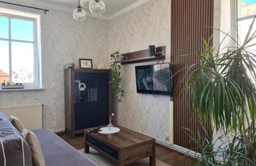 Boleslawiec Apartment | Apartament w Rynku For You