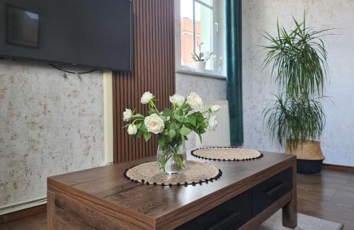 Boleslawiec Apartment | Apartament w Rynku For You