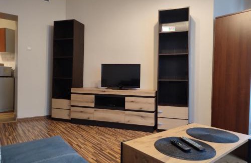 Wloclawek Apartment | Apartament Warszawska