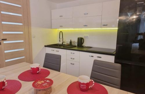 Frydman Apartment | APARTAMENT Z POMOSTEM nad Jeziorem Czorsztyńskim