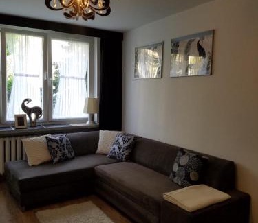 Zamosc Apartment | Apartament Zamość Brąz