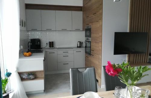 Cieplice Apartment | Apartament Zielone Wzgórze 1