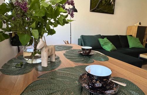 Srebrna Gora Apartment | Apartament Zimowa 16