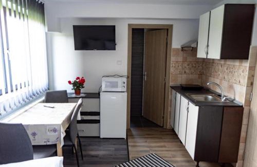 Praid Apartment | Apartamente Ambrus Praid