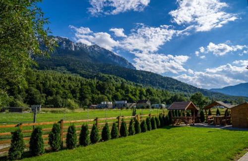 Zarnesti Cabin | Apartamente Creasta Craiului