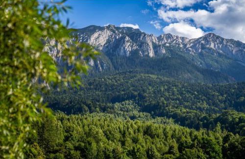Zarnesti Cabin | Apartamente Creasta Craiului