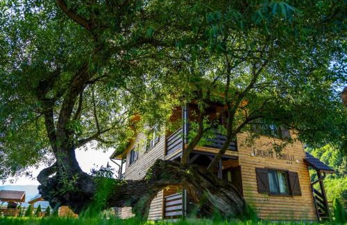Zarnesti Cabin | Apartamente Creasta Craiului