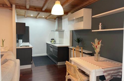 Haro Apartment | APARTAMENTO CONDE DE HARO