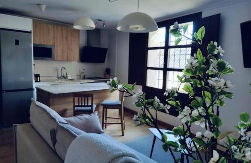 Pastrana Apartment | Apartamento Palacio de los Burgo
