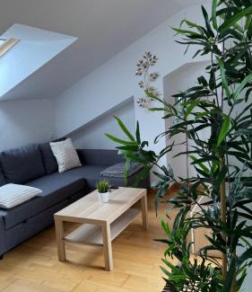 Olmedo Apartment | Apartamentos Suites Olmedo