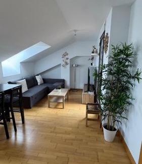 Olmedo Apartment | Apartamentos Suites Olmedo