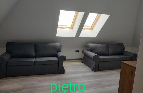 Slesin Apartment | Apartamenty Ślesin