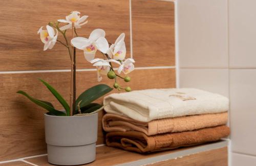 Stronie Slaskie Apartment | Apartamenty GoszóWita