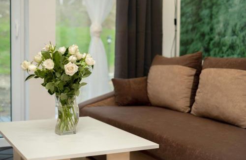 Stronie Slaskie Apartment | Apartamenty GoszoWita