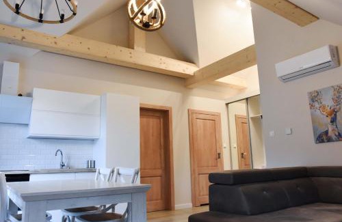 Szlachtowa Apartment | Apartamenty Homole Mansarda