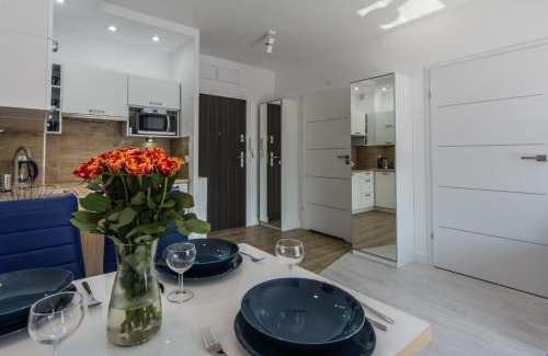 Swieradow-Zdroj Apartment | Apartamenty Izerskie - ul. Sienkiewicza 9