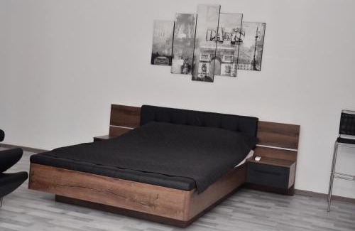 Zielona Gora Apartment | Apartamenty Jacuzzi, klima, wifi,