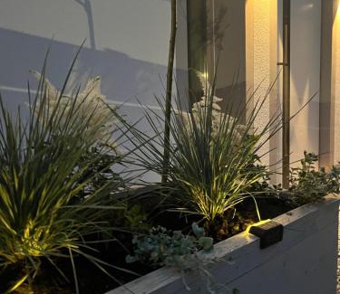 Lesna Apartment | Apartamenty M7