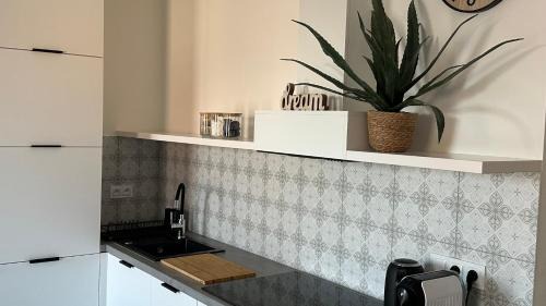 Srem Apartment | Apartamenty Mickiewicza40