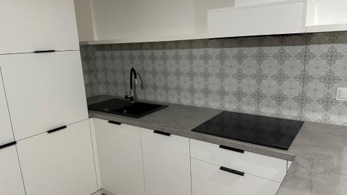 Srem Apartment | Apartamenty Mickiewicza40