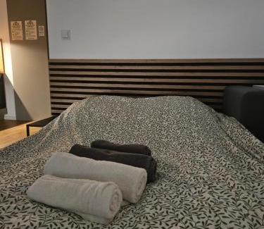 Czluchow Apartment | ApartCzłuchów