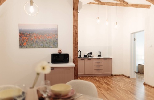 Baia Mare Hotel | Aparthotel Casa 1901