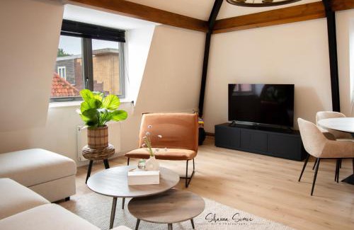 Alkmaar Apartment | ApartHotel De Koning by Urban Home Stay