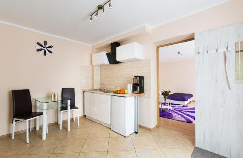 Sosnowiec Apartment | ApartHouse Apartamenty Centrum