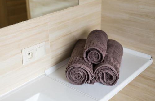 Sosnowiec Apartment | ApartHouse Apartamenty Centrum