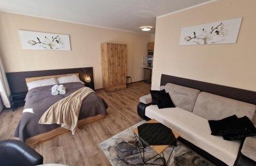Katowice Apartment | ApartHouse Apartamenty Centrum - In the city center Near the train station
