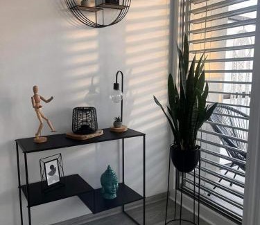 Olomouc Apartment | Apartmán Šantovka