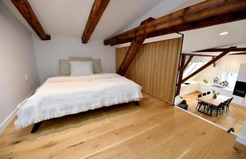 Trencin Apartment | Apartmán 1901