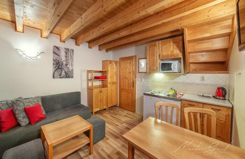 Liptovsky Mikulas Apartment | Apartmán 334 Tatralandia