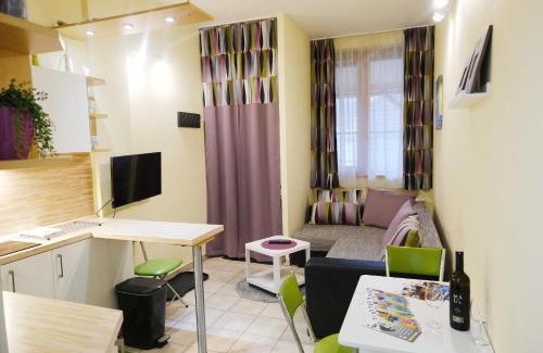 Rokytnice nad Jizerou Apartment | Apartmán 466