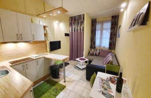 Rokytnice nad Jizerou Apartment | Apartmán 466